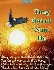 [Việt Nam] Tung Hoành Nam Hạ